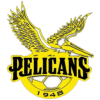 Pelicans SC logo - Sc VS Saunders Sc Live Score Today