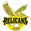 Pelicans SC logo