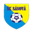 SK Sasova logo