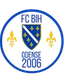 BiH Odense logo