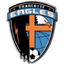 Charlotte Eagles logo