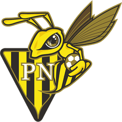 Progres Niedercorn logo