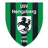Usv Hengsberg logo - Hengsberg VS Usv Fliesen Klampfer Gabersdorf Result Today