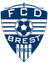 Dinamo Brest II logo