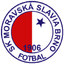 MS Brno logo