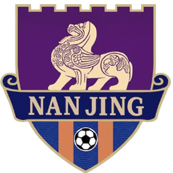 Nanjing Team logo