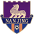 Nanjing Team logo