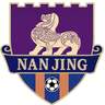 Nanjing Team logo