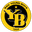 Young Boys U21 logo