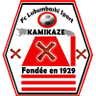 FC Lubumbashi Sport logo