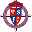 NergihasaU19 logo