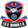 FCV Dender EH Youth logo