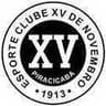 XV de Piracicaba logo