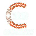 Guangdong Chengjun logo - Chengjun VS Shandong Zhujiazhuang Village Result Today