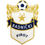 Radnicki Pirot logo