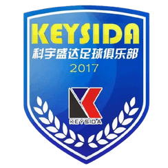 Shenzhen Keysida logo