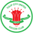 Tulip City United (W) logo