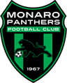 Monaro Panthers logo