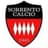 AS Sorrento Calcio logo