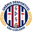 Sao carlense logo - Brazilian Campeonato Paulista A 33912 Results