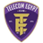 Telecom Egypt logo