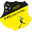 FV Dudenhofen logo