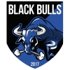 Black Bulls logo - Bulls VS Costa Do Sol Maputo Live Score Today