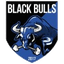 Black Bulls logo
