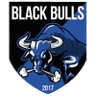 Black Bulls logo