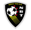 New Road Team logo