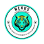 Nexus FA Youth logo