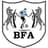 Botswana U23 logo - Caf African Olympic Preliminaries 32463 Live Score