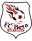 Besa Biel Bienne logo