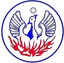 Naousa logo