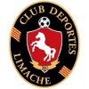 Deportes Limache logo