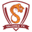 Valdres FK U19 logo