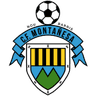 CF Montanesa logo