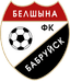 FC Belshina Babruisk logo