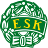 Enkoping logo