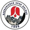 Hakkari Zap Spor logo
