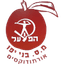 SC Bnei Yaffo Ortodoxim logo