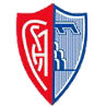 Montevarchi logo - Altotevere VS Montevarchi Live Score Today