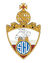 SC Vianense Formacao logo