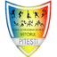 LPS Viitorul Pitesti U19 logo