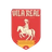 Vila Real U20 logo - Bra Youth Championship 33453 Live Score