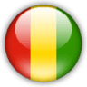 Guinea U17 logo