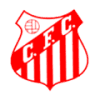 Capivariano logo - Capivariano VS Mirassol Result Today