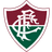 Fluminense SC logo - Live Bra Catarinense Division 33241