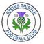 Steins Thistle FC logo
