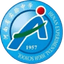 Henan Experimental Hansen U13 logo